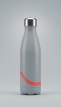 Matte Stainless Water Bottle